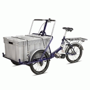 Tricycle cargo e-trike