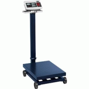 Steinberg Systems - Steinberg Balance Plateforme Professionnelle Industrielle Pèse-Colis Roulante Roulant SBS-PF-600/100 (600 kg, Précision ±100 g,