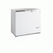 Congélateur de crème glacée - 273 L | Tefcold - FR305SSL
