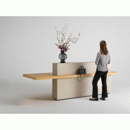 Banque d'accueil PMR suspendu Olympe Bulmin