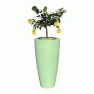 Plast&ampamp#039Up Rotomoulage Pot de fleurs conique delight 200l - VERT AMANDE - vert 0637962081961 Plast&ampamp#039Up Rotomoulage Pot de fleurs conique delight 200l - VERT AMANDE - vert 0637962081961