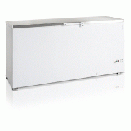 Congélateur de crème glacée - 557 L | Tefcold - FR605SSL