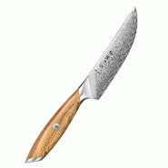 Hezhen - Couteau à steak Damas - Série phare X01 - multicolore multi-matériau X01-NP
