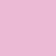 FHC evolupack FHC - 1 440Pcs - Serviette micro point rose 2 plis 380x380mm - rose papier 210SMP3838RS FHC evolupack FHC - 1 440Pcs - Serviette micro point rose 2 plis 380x380mm - rose papier 210SMP3838RS