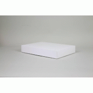Campana cloche boîte 37x26x7cm blanc mat 50 unités