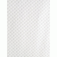 Lot de 500 sets de table jetables blancs - 300 x 400 mm - en papier - poids 600g Lot de 500 sets de table jetables blancs - 300 x 400 mm - en papier - poids 600g