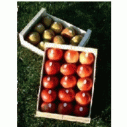 Cagettes fruits & légumes
