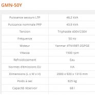 GMN-50Y Groupe électrogène industriel - Generac - 46,2 kVA - Série GMN Euro - Moteur diesel norme IIIA_1