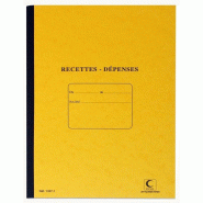 Recettes depenses 297x210 80 p piqure - 3416790132710