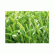 Gazon synthétique jardin - méditerranée curly Gazon synthétique jardin - méditerranée curly