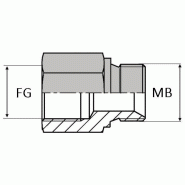 Adaptateur droit mâle BSP x femelle gaz cylindrique prolongé 23mm - BS - WMFCY00202P