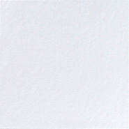 Serviette ouate blanche Finess 2 plis 40x40cm - par 300 - Couleur blanc - Matière ouate