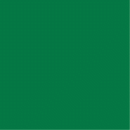 Serviette intissé vert sapin 40x40cm - par 700