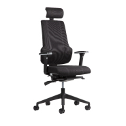 Chaise de bureau ergonomique et professionnelle avec appui-tête réglable en option - THECHAIR
