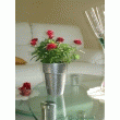 Pot de fleurs eglantine