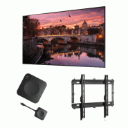 Écran salle réunion 55" + support + sans fil