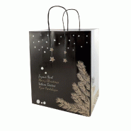Sac kraft "Caribou" poignées torsadées 35x41+14cm - par 50