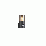 Applique extérieure Hoosic détecteur de mouvement E27 IP44 noir mat abat-jour fumé - Trio Lighting - noir aluminium 4017807603620
