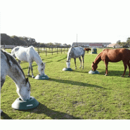 Matériel de prairie pour chevaux - bacs de pâturage, mangeoires, abris et enclos modulables_0