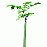 Protège plant 0.60m, 1m ou 1.20m Protège plant 0.60m, 1m ou 1.20m