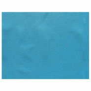 Set de table intissé turquoise 30x40cm - par 800