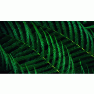 Philips 5000 series 27B2G5200/00 écran plat de PC 68,6 cm (27") 1920 x 1080 pixels Full HD LCD Anthr