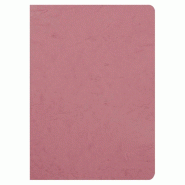 Clairefontaine Lot de 5 Cahier Age Bag A4, 96p./48 feuilles 90 g/m² piquées, couv. Coloris rose antique, uni - 3329687330062
