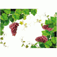 Sticker angles feuilles de vigne et raisins 70 x 100 cm