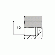 Bouchon femelle gaz cylindrique tête hexagonale - OBFG 1/8 - WOBF000002
