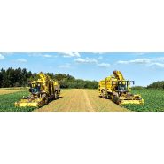 Arracheuse de betteraves panther - ropa france_1