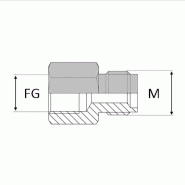 Adaptateur droit mâle agricole 18 x 1,5 X femelle gaz - 18X150 , 1/2' , 18.63