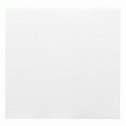 Serviette ouate double point 2 plis 1/4 40X40 cm blanc - par 50
