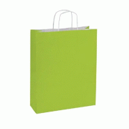 Sac kraft vert anis poignées torsadées 14+8,5x21cm - par 200 - couleur moderne et écologique