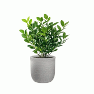 Vase Cylindrique En Résine Beige Raffaello 35X34Cm Pour Plantes D'Intérieur Et D'Extérieur - beige 8055829983159