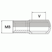 Adaptateur droit corps de banjo x mâle BSP - BBJOGSV0202 - BJO10-1/8 / MBSP1/8 SANS VIS