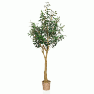 Plante artificielle OLIVE II vert / noir hjh OFFICE - vert plastique 871023