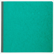 Exacompta - Réf. 4420E - 1 Piqûre 32x27cm Départ du courrier 26 lignes 80 pages - Couleurs aléatoires - multicolore papier 4420E