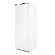 Armoire réfrigérée négative 1 porte pleine 400 litres gaz r290 - PAE401N