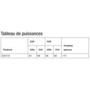 J66_220 groupes électrogènes industriel - sdmo - tension de référence (v) 220/127_1