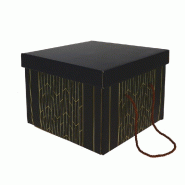 Boite carton carrée pliable "Allure" poignées corde 27x27x20cm - par 20