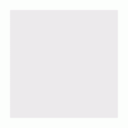 Feuille ingraissable blanche pour pizza 35x35cm par 500