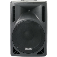 Enceinte professionnelle 300 W - SPC 15 Enceinte professionnelle 300 W - SPC 15