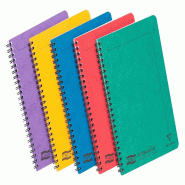 Clairefontaine Lot de 10 Carnet Europa Notemaker A5, 120p./60 feuilles détachables 90 g/m² reliure intégrale, ligné, coloris assortis (5) - multic