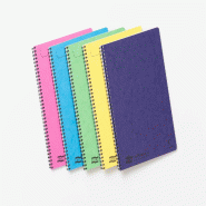 Clairefontaine Lot de 10 Cahier Europa Notemaker A4, 120p./60 feuilles détachables 90 g/m² reliure intégrale, ligné, coloris assortis (5) - multic
