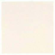 Serviette Spunlace crème 50x50cm - par 400