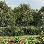 Vidaxl clôture à mailles losangées avec ancrage anthracite 2,2x25 m 153983