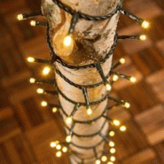 Guirlande lumineuse 12,8M 320 LED blanc chaud 8 programmes câble vert 31V IP44 Lotti - jaune 8024199046153