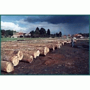 Grume de bois qualité tranche