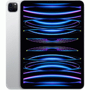 IPad Pro 11 2To Wifi (2024) - Argent