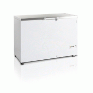 Congélateur de crème glacée - 377 L | Tefcold - FR405SSL